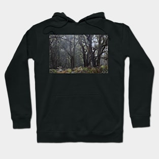 Greens Bush #20 Hoodie